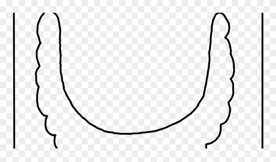 Line Art Clipart