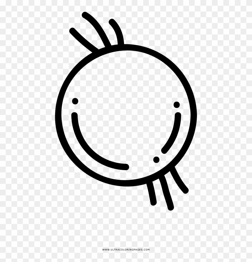 Onion Coloring Page - Circle Clipart