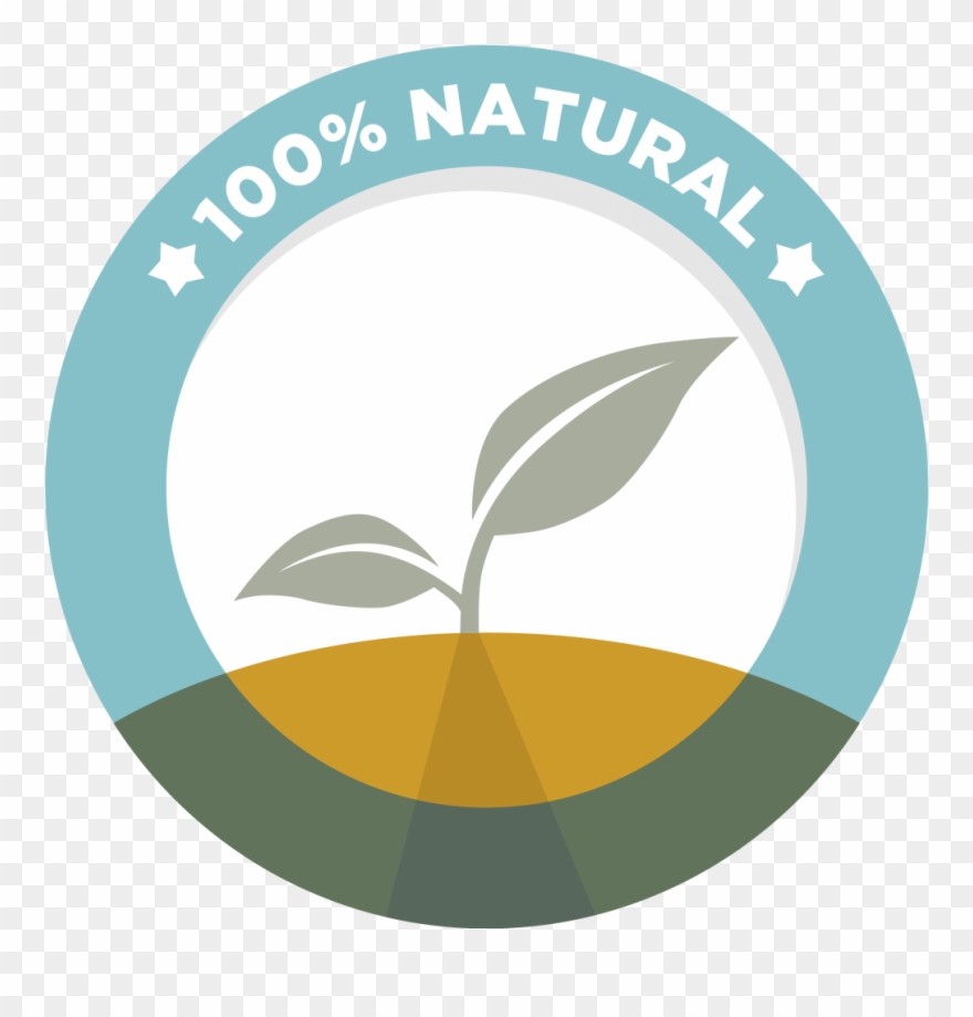 Lice Treatment Services - International Coaching Community Clipart