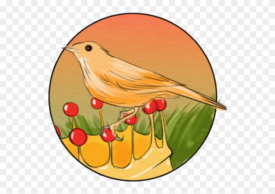 El Ruiseñor - Old World Flycatcher Clipart