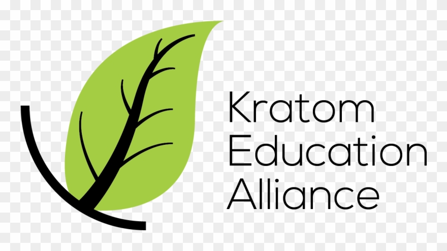 War On Drugs - Halobytom Clipart