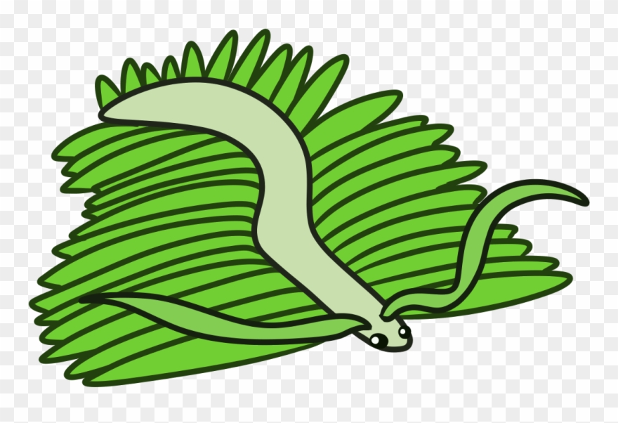 House Centipalm - Illustration Clipart