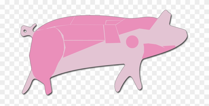 1 - Domestic Pig Clipart