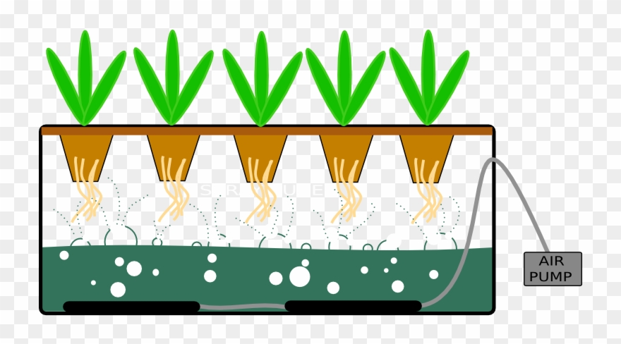 Interpersonal Boundaries Variations And - Bubbler System Hydroponics Clipart