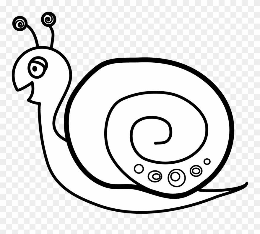 Snails, Clip Art, Snail, Illustrations, Pictures - Snail - Png Download