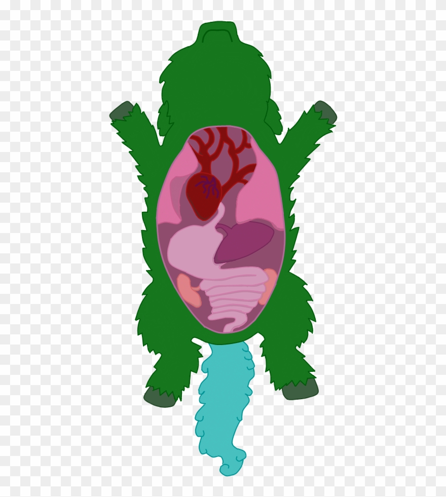 Fluffy Pony Dies Four Wing Gore Original Art - Illustration Clipart