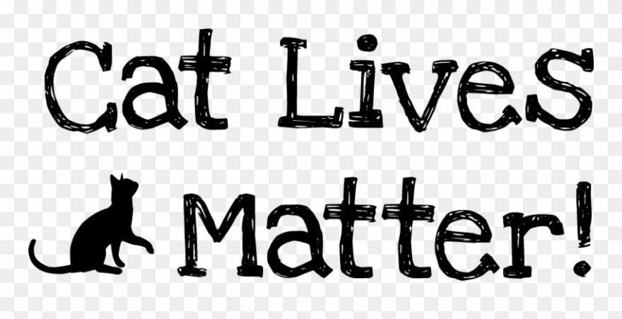 кет кот лайв. Cat life перевод. футболка 'the book was better'. Cat life. No cat no life.