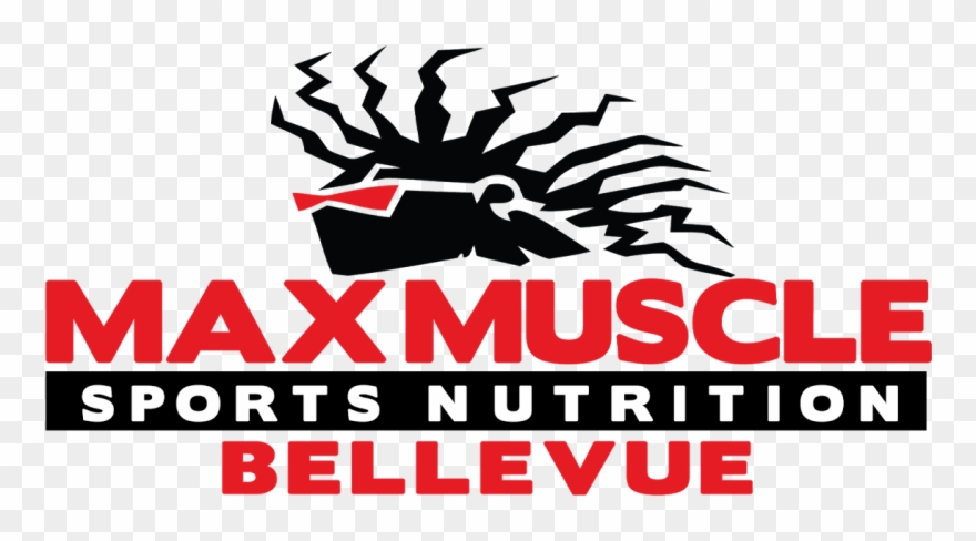 1200 X 630 4 - Max Muscle Clipart