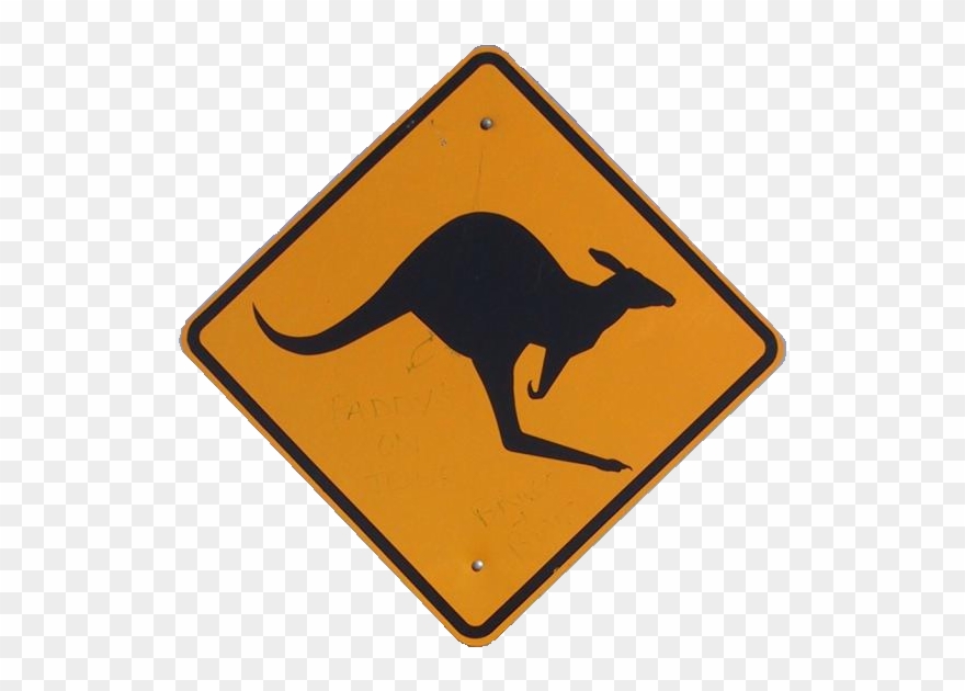 Kangaroo Png Clipart