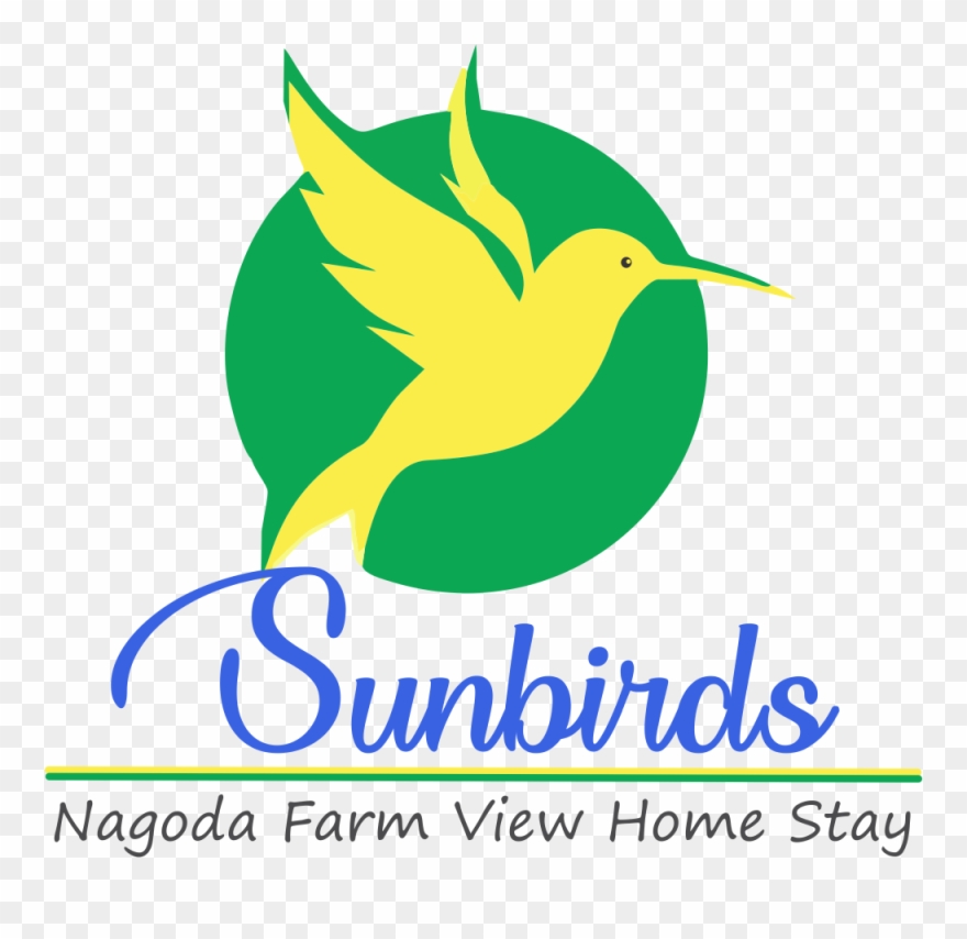 Sunbird Home Stay - Hummingbird Clipart