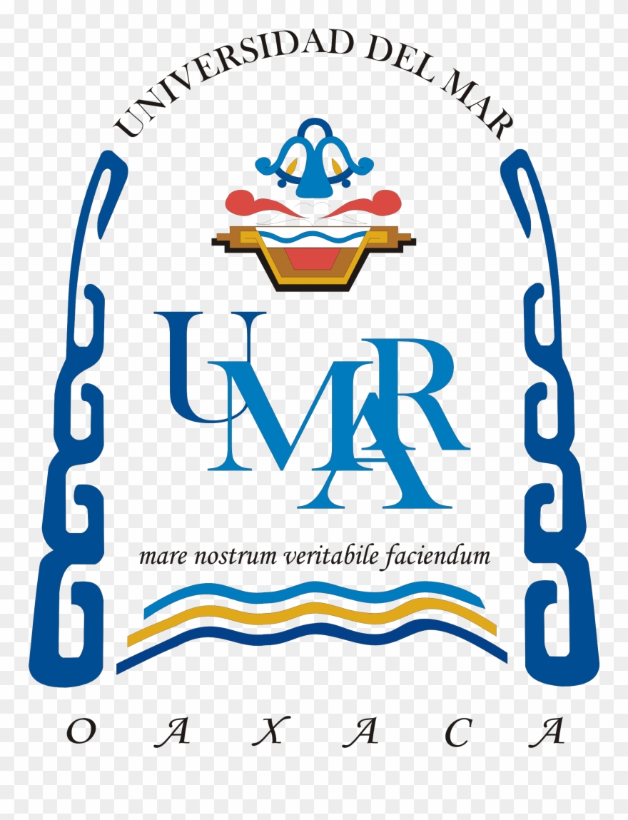 Campus Puerto Escondido - Lingaya's University Clipart