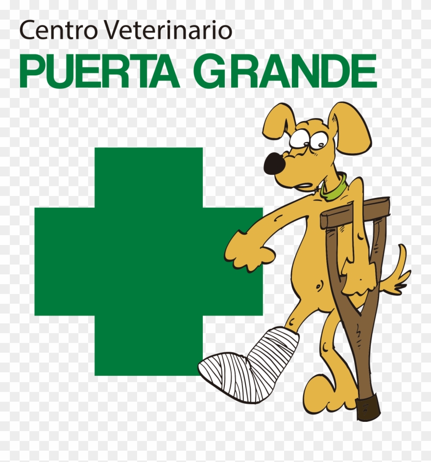 First Aid Box Items Names Clipart