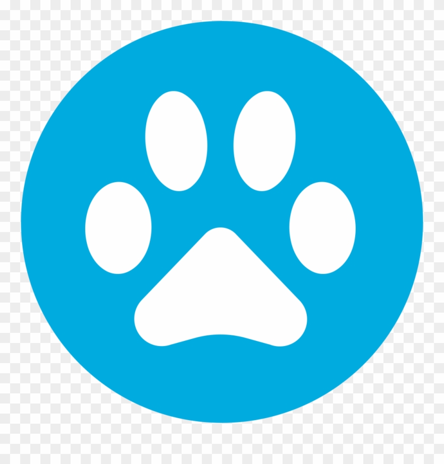 Clinica Veterinaria Tulum / Dr - Person Icon Png Blue Clipart