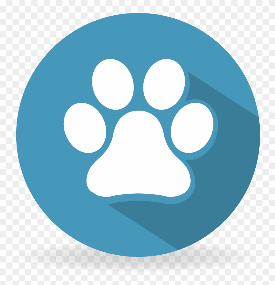 Clínica Veterinaria Hospital Veterinario 24 Horas Vetersalud - Dog Clipart