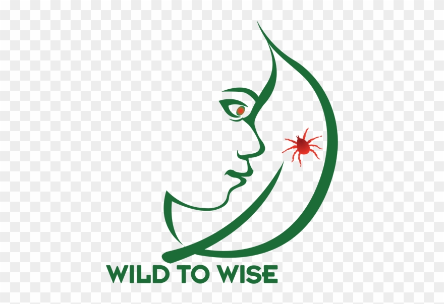 Nature School Clipart