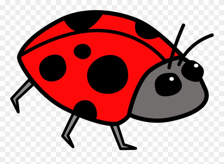 Women Testers Clipart