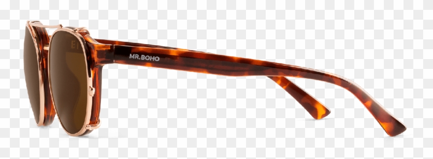 Vintage Tortoise - Plastic Clipart