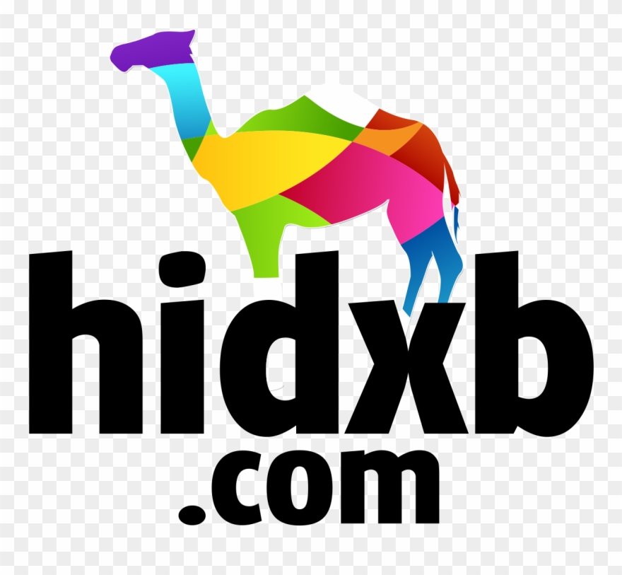 Best Of Dubai - Arabian Camel Clipart