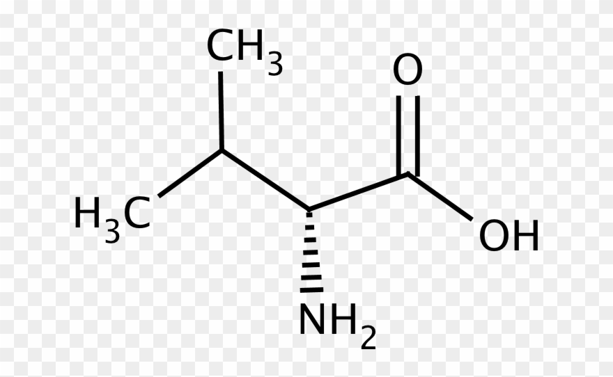 Glentham Life Sciences - 3 Methylpentanoic Acid Structural Formula Clipart