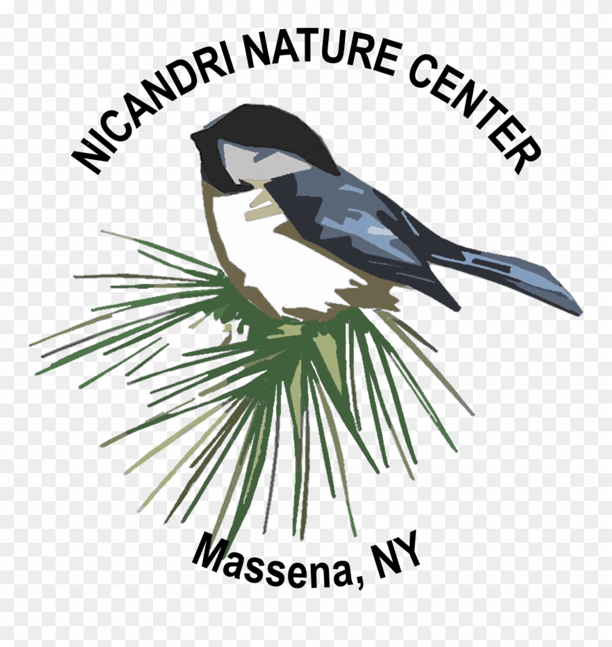 New-logo Mnc Nocircle - Canadian Red Cross Logo Clipart