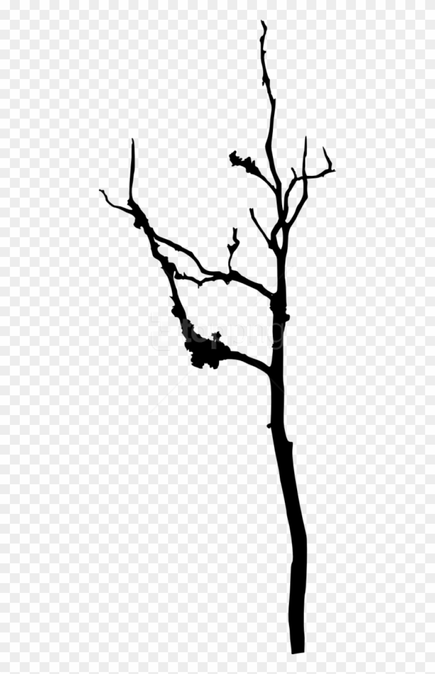 Free Png Bare Tree Silhouette Png Images Transparent - Silhouette Clipart