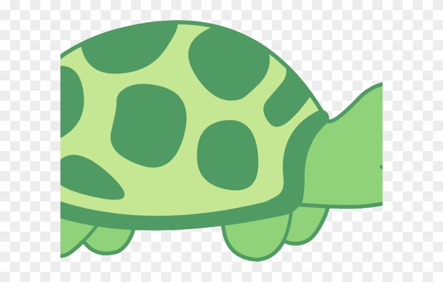 Green Clipart Seashell - Turtle Clip Art Png Transparent Png