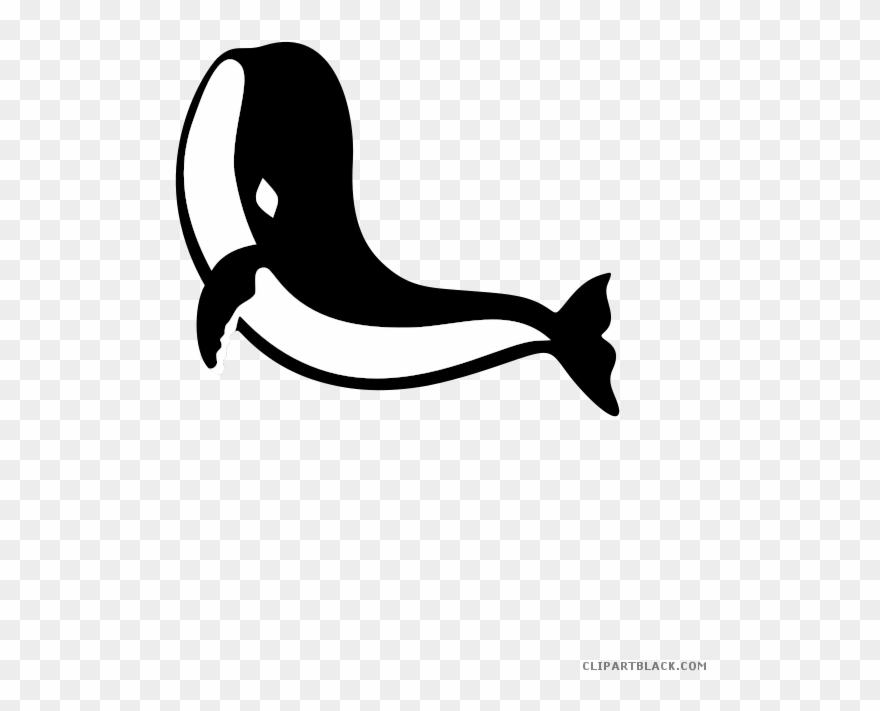 Black And White Shark Animal Free Black White Clipart - Paus Animasi - Png Download