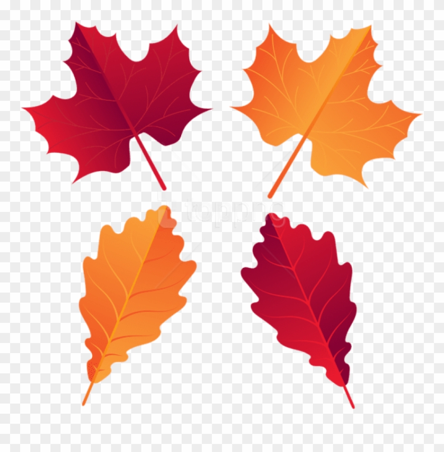Free Png Download Fall Deco Leaves Clipart Png Photo - Maple Leaf Transparent Png
