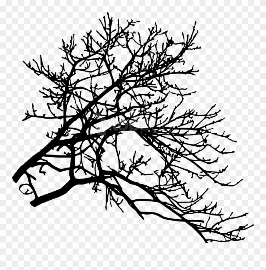 Free Png Tree Branch Png - Silhouette Clipart