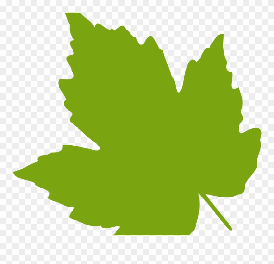 Download Leaf Images Clip Art - Clip Art Grape Leaves - Png Download
