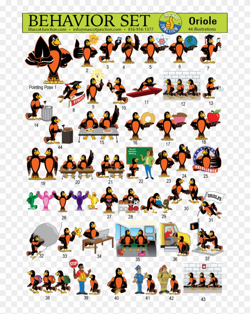 Oriole Mascot Clip Art Behavior - Cartoon - Png Download