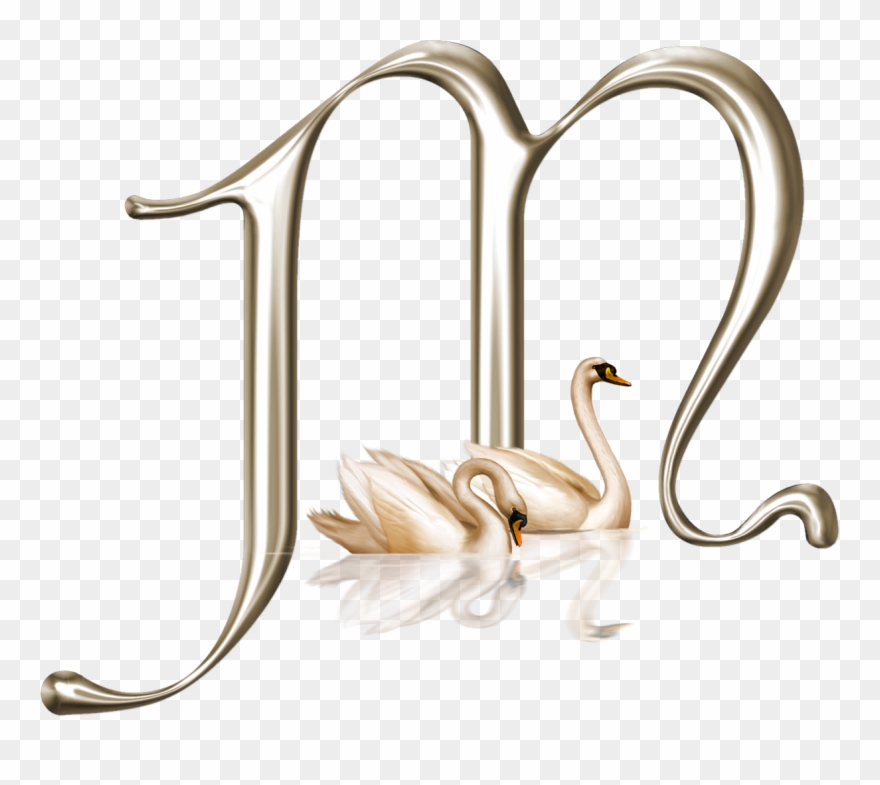 Precioso Alfabeto Con Cisnes Min Sculas Alphabet Clipart