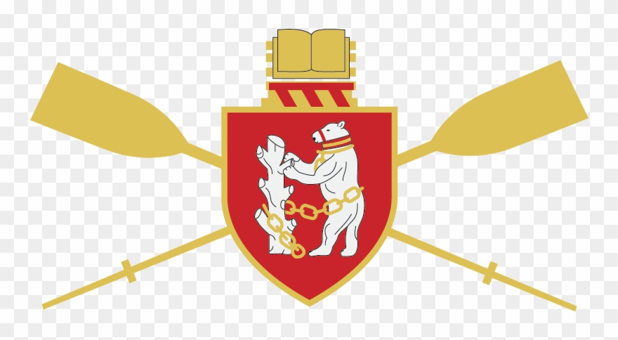 Watch Our Latest Promotional Video Above Clipart