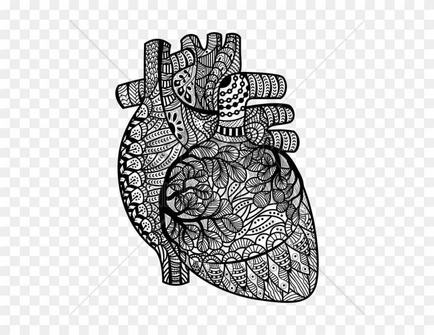 Anatomical Heart Clipart - Vitamin D Art Book Best Drawing - Png Download