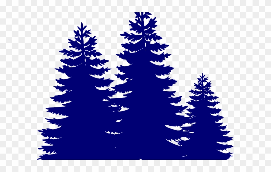 Pine Tree Clipart Root - Png Download