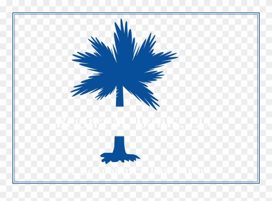 Regina Banis, Llc - Sc Palmetto Tree And Moon Png Clipart