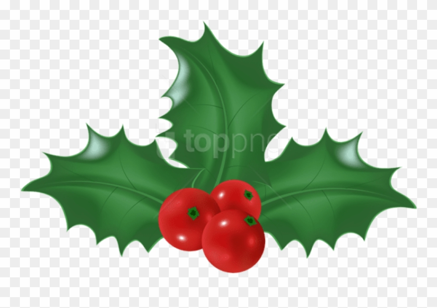 Free Png Holly Mistletoe Png - Illustration Clipart