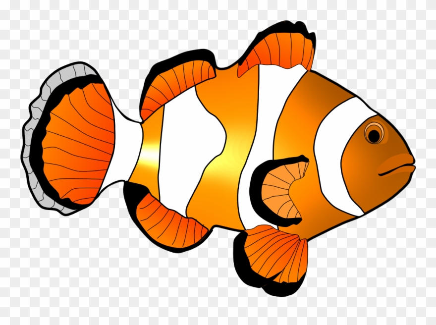 Clipart Of Fish And Fish Market - Coral Reef Fish Clipart - Png Download