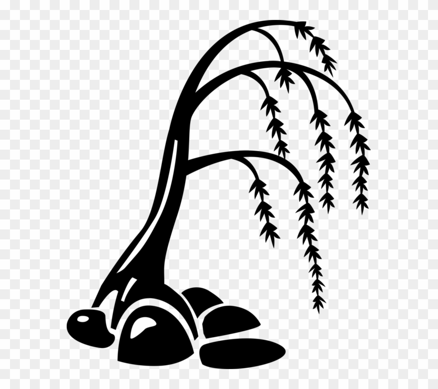 611 X 700 3 Clipart
