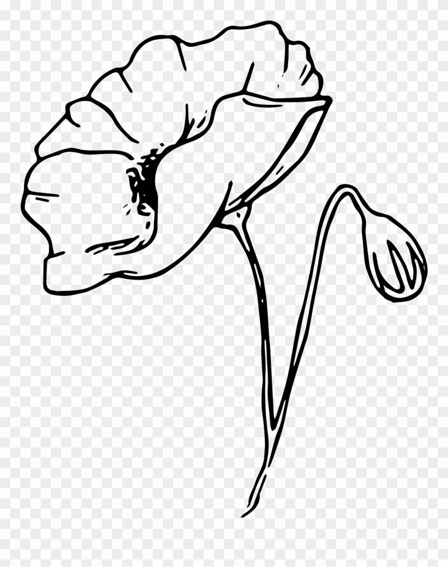 Lessons People Pinterest - Sketch Clipart