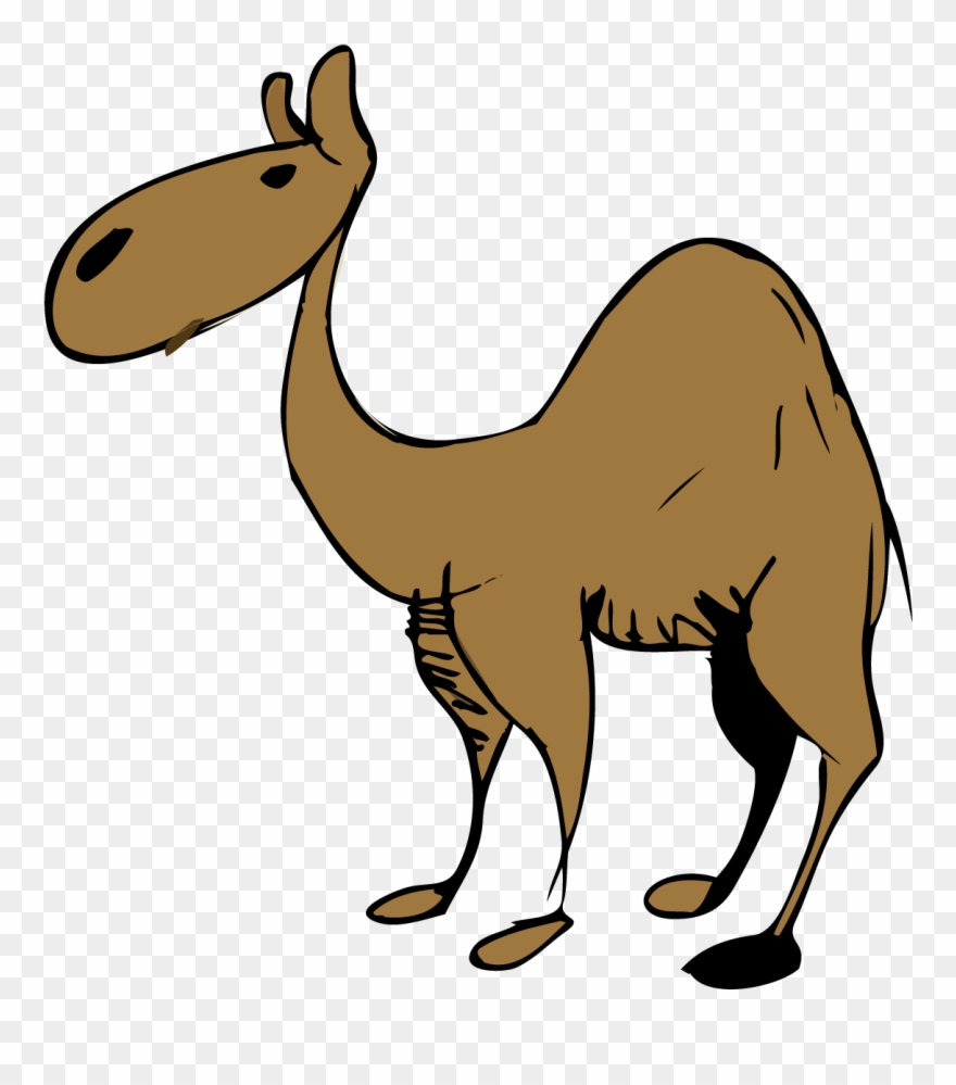 Vector Royalty Free Download Dromedary Clip Art Cartoon - جمل في الصحراء كرتون - Png Download