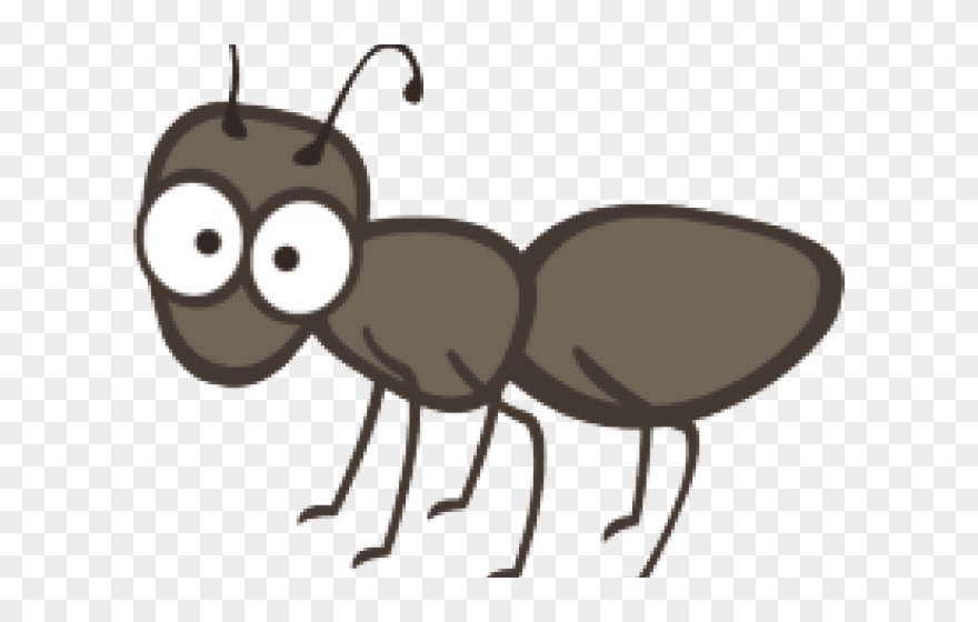 Ant Clipart Single - Transparent Background Ant Clipart - Png Download