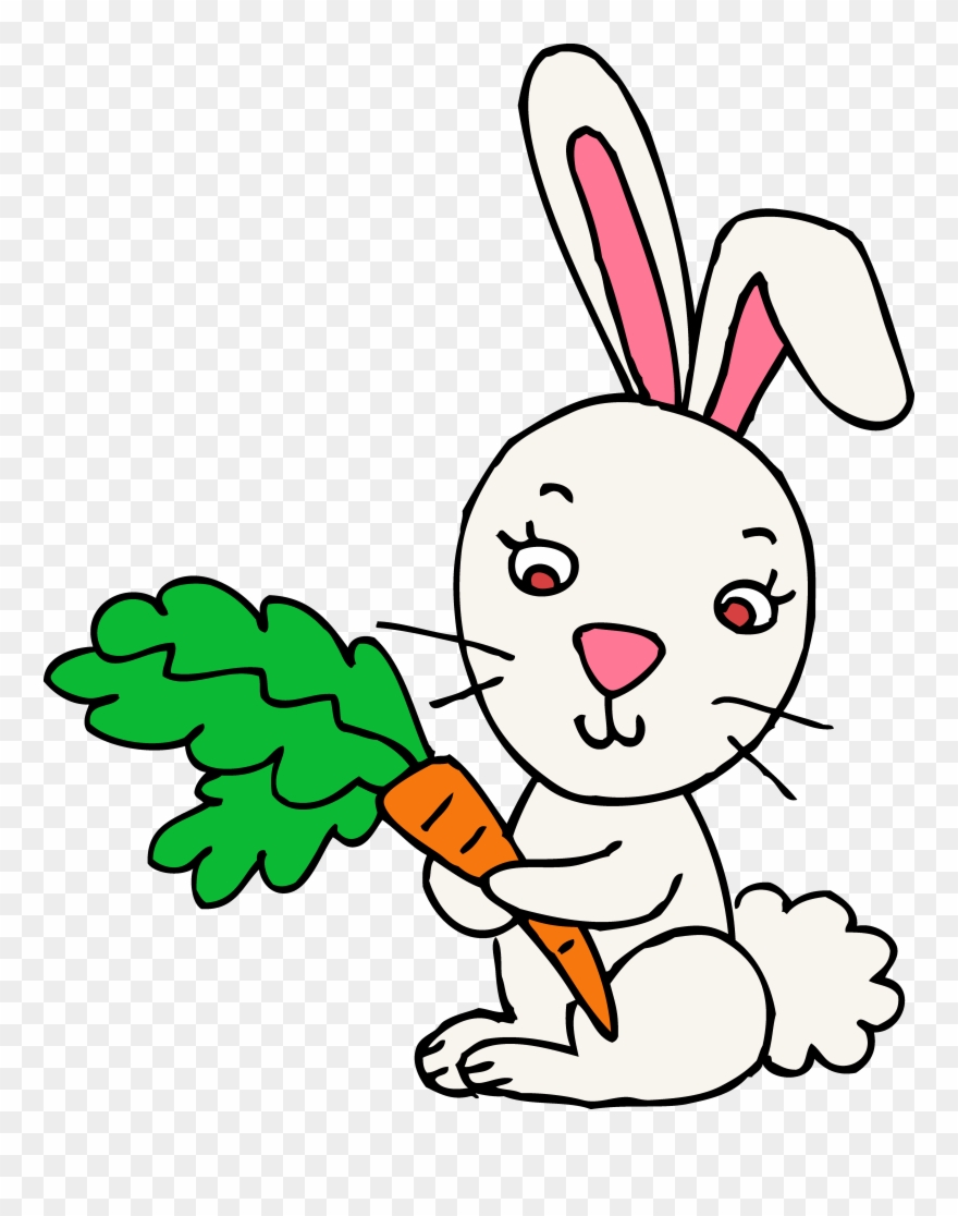 Clipart Of Rabbit, Nc And Missouri - Cartoon - Png Download