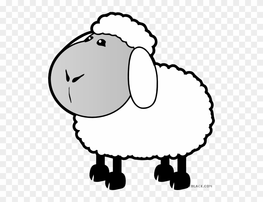 Sheep Animal Free Black White Clipart Images Clipartblack - Colouring Pages For Sheep - Png Download
