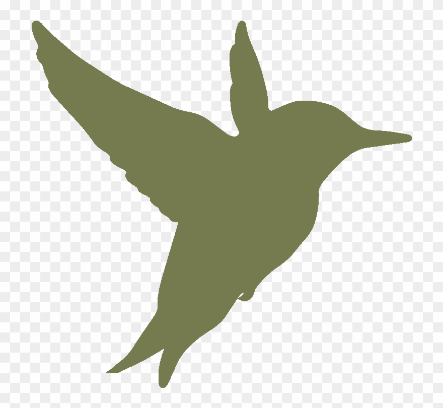 Your Energy Plus For Productive Seminars - Hummingbird Clipart