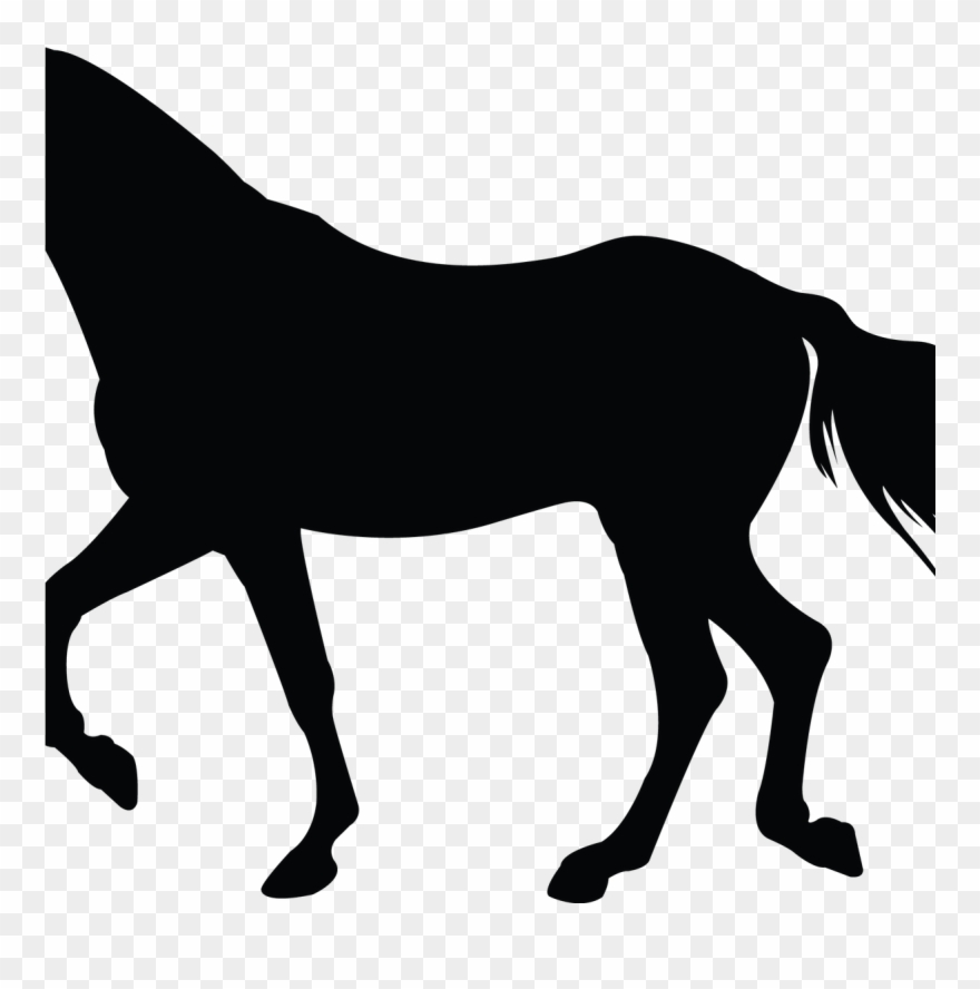Pferd Silhouette Blechmal - Silhuetas De Cavalos Clipart