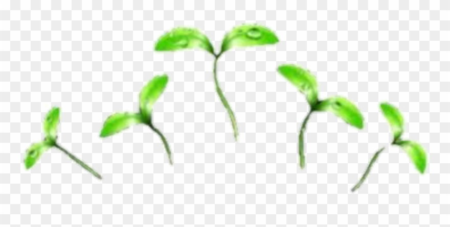 Sticker By Cornynmyg🌙 - Crown Filter Png Clipart