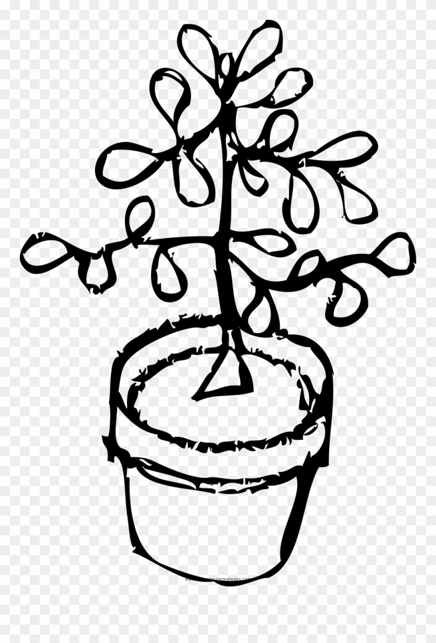 Pflanze Ausmalbilder - Planta Para Colorear Clipart