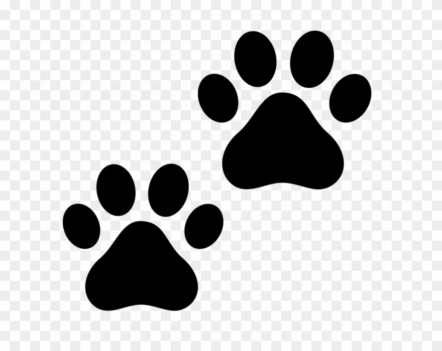 Download Cat Paw Print Clip Art - Zuma Paw Patrol Head - Png Download