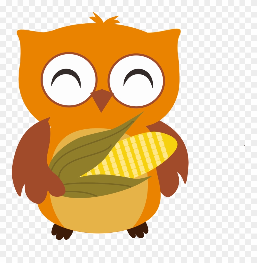 Owl - Cartoon Clipart